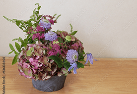 フラワーラボ　デイジーヒル