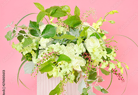 フラワーラボ　デイジーヒル