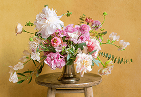 フラワーラボ　デイジーヒル